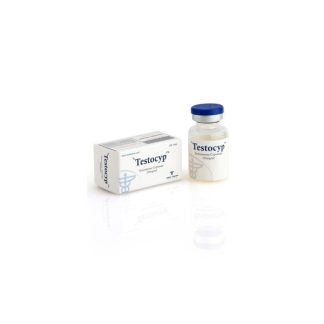 Testocyp Alpha Pharma – 1 Vial
